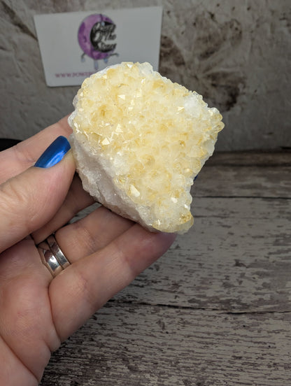 Crystal Abundance bundle set