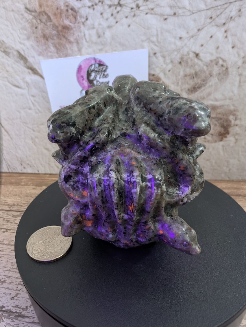 Emberlite Medusa carving.