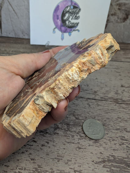 Red Petrified wood slab.