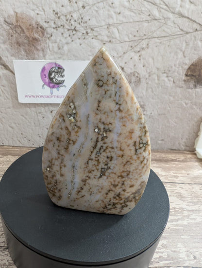 Ocean Jasper free form
