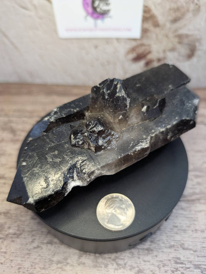 Heat Treated Smoky Quartz multi point raw specimen