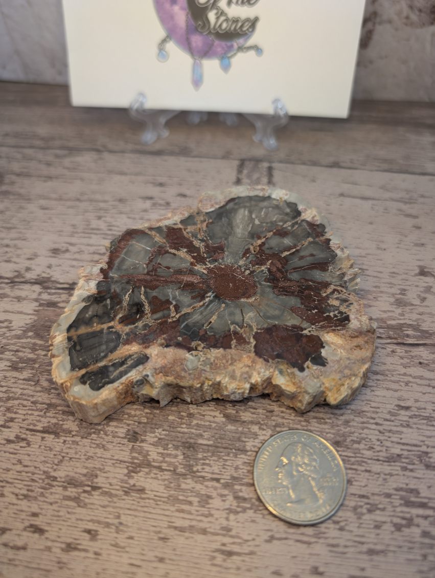 Red Petrified wood slab.