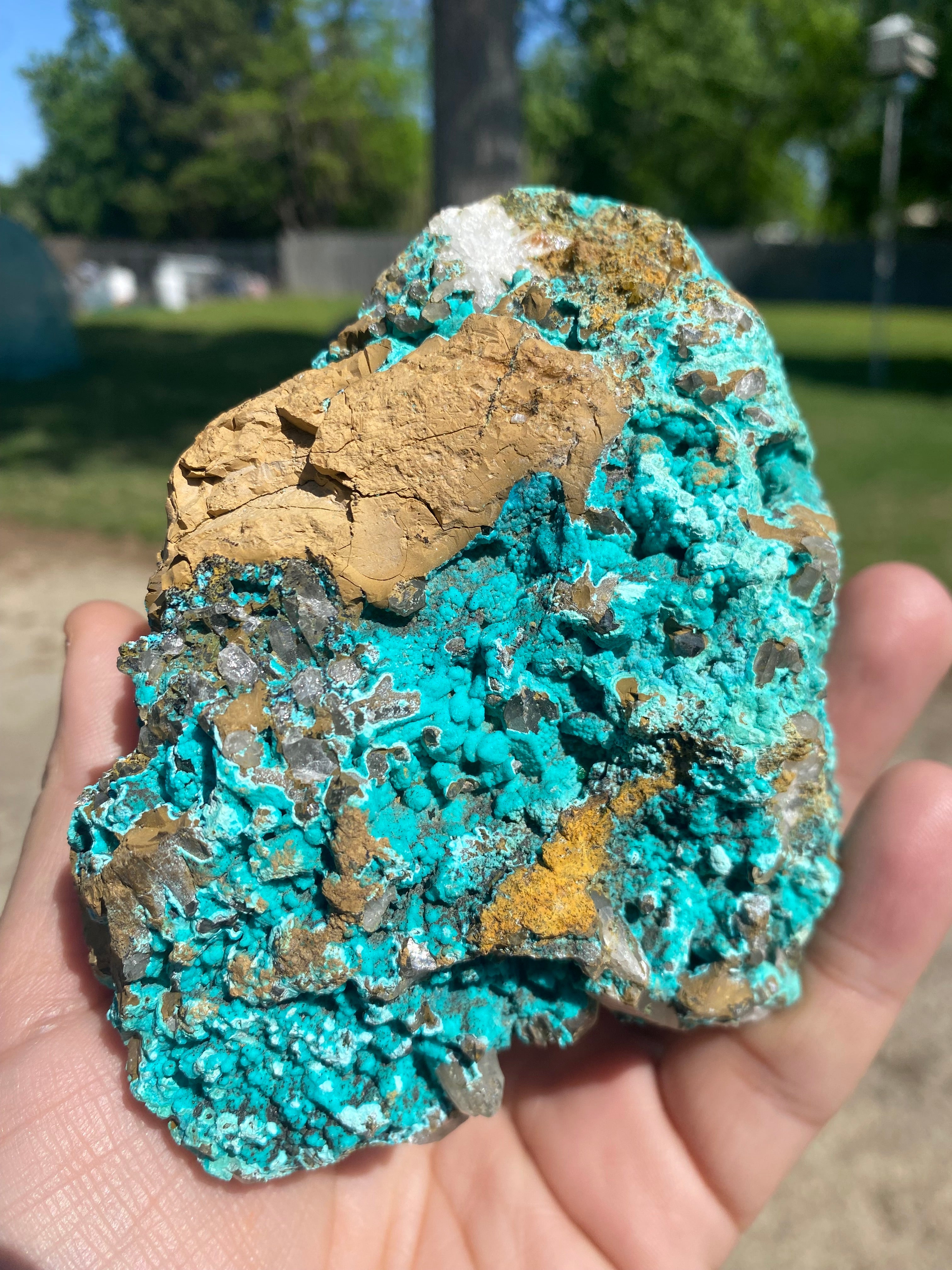 Chrysocolla on Quartz