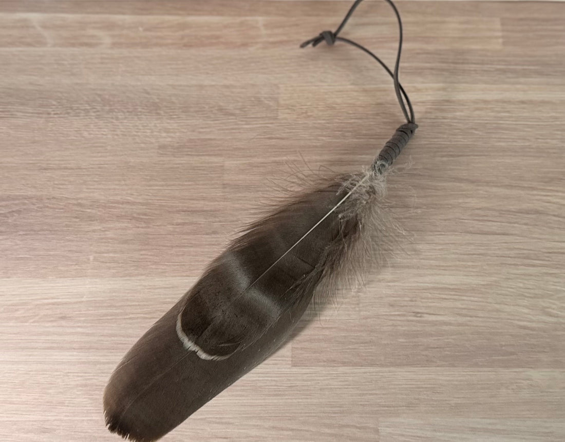 Small Smoke Cleanse Feathers
