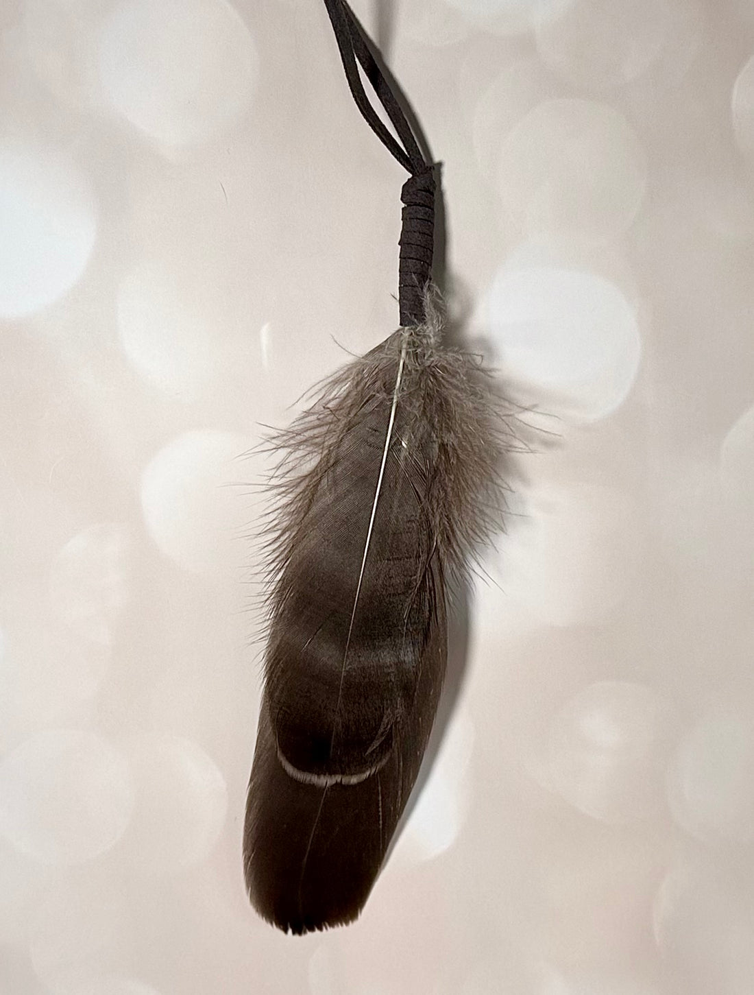 Small Smoke Cleanse Feathers