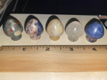 5 Assorted Mushroom Carvings