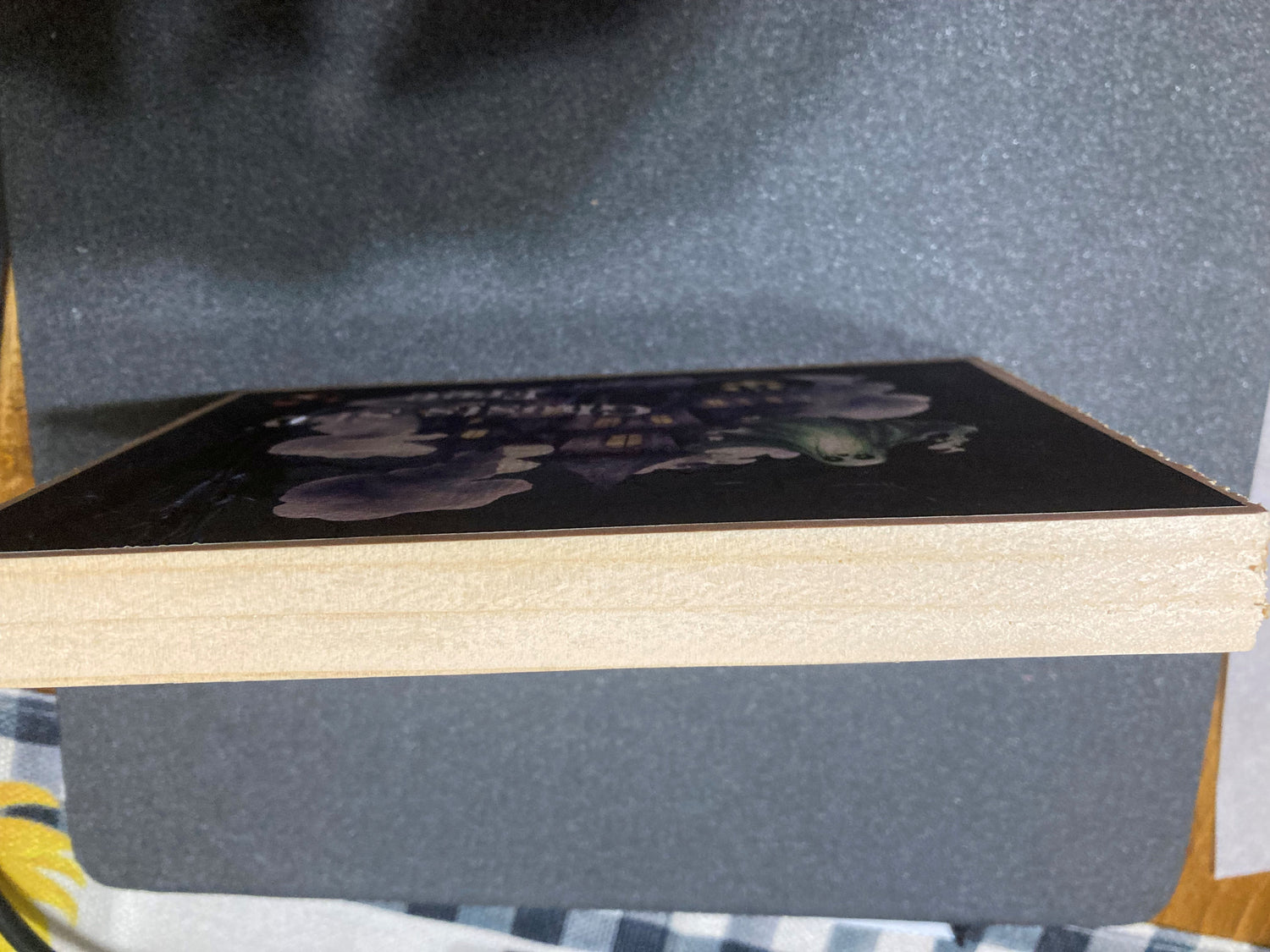 Handcrafted "Ghosts Stay Free" Sign