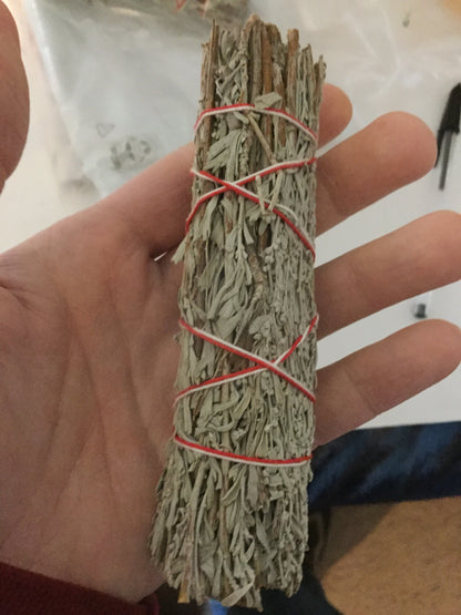 Mercury Retrograde Survival Set