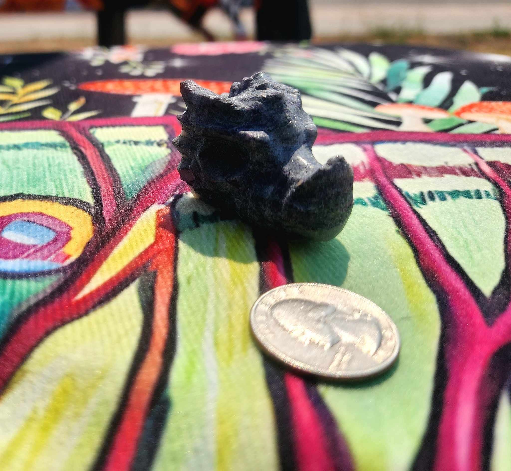 Small Dragon Skull