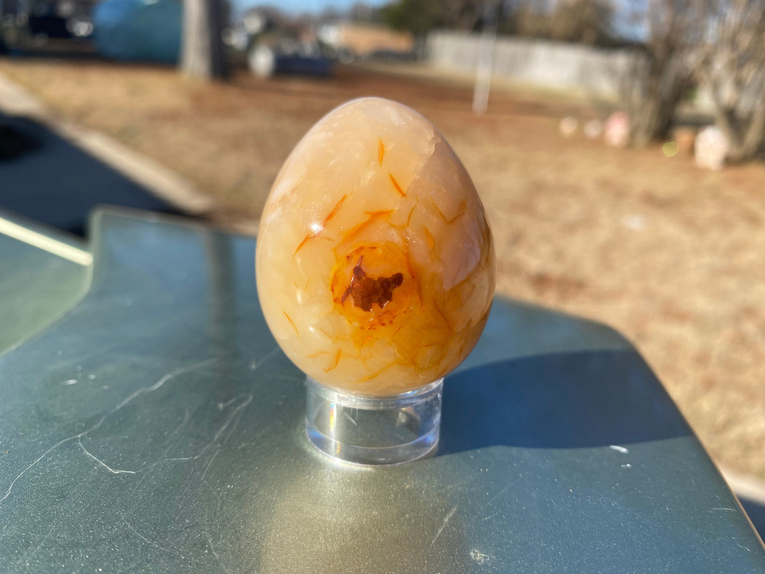 Carnelian Egg