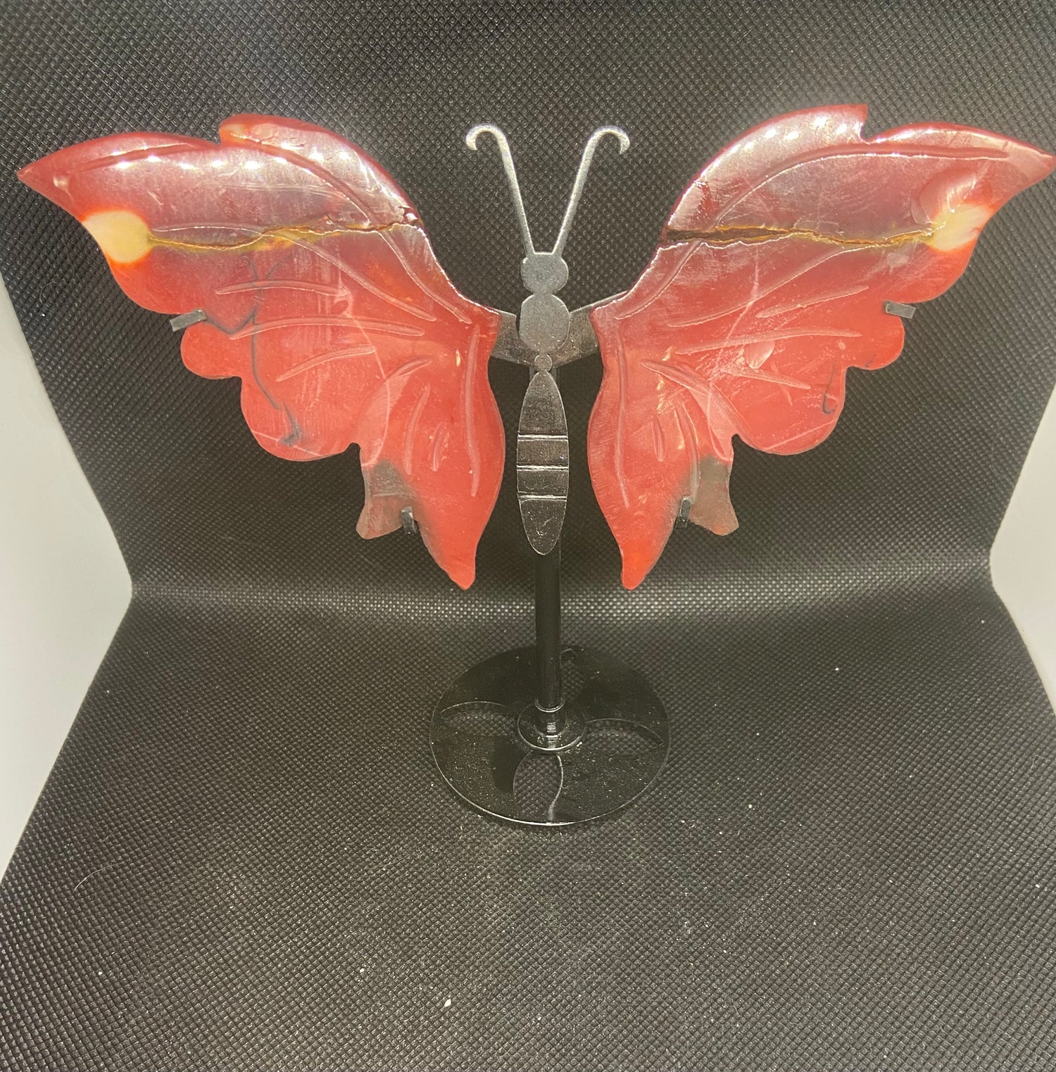 Butterfly Wings