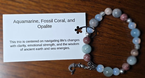 Aquamarine/ Fossil Coral/ Opalite