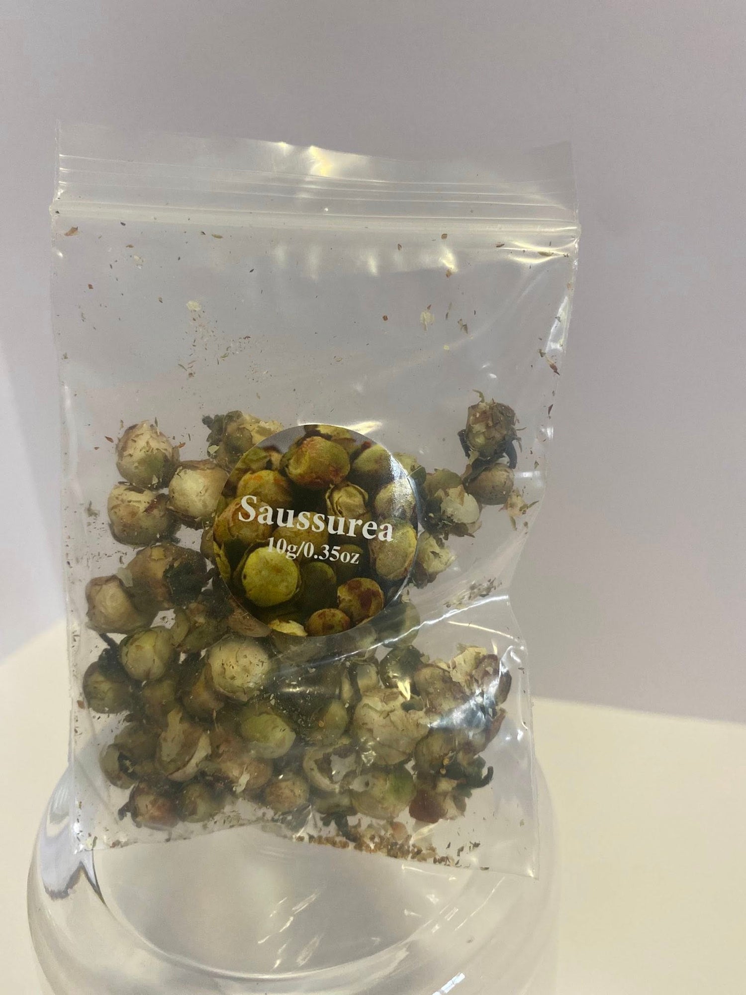 Saussurea