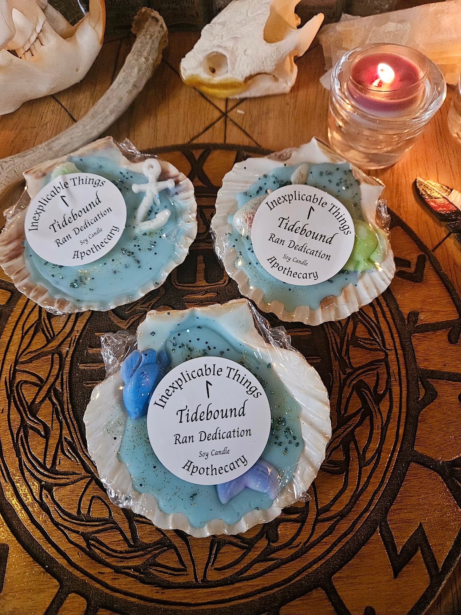 TideBound — Scallop Shell Candle (Rán Dedication Candle)