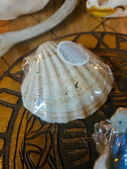 TideBound — Scallop Shell Candle (Rán Dedication Candle)